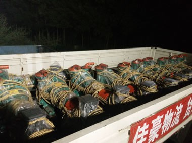 寧波石油砂泵發(fā)往北京